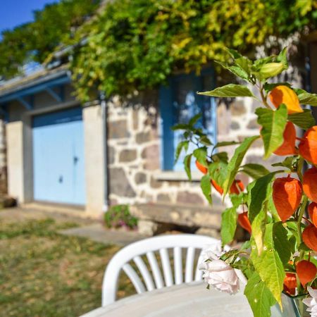 Beautiful Villa In The Parc Des Volcans D Auvergne Vic-sur-Cère 외부 사진
