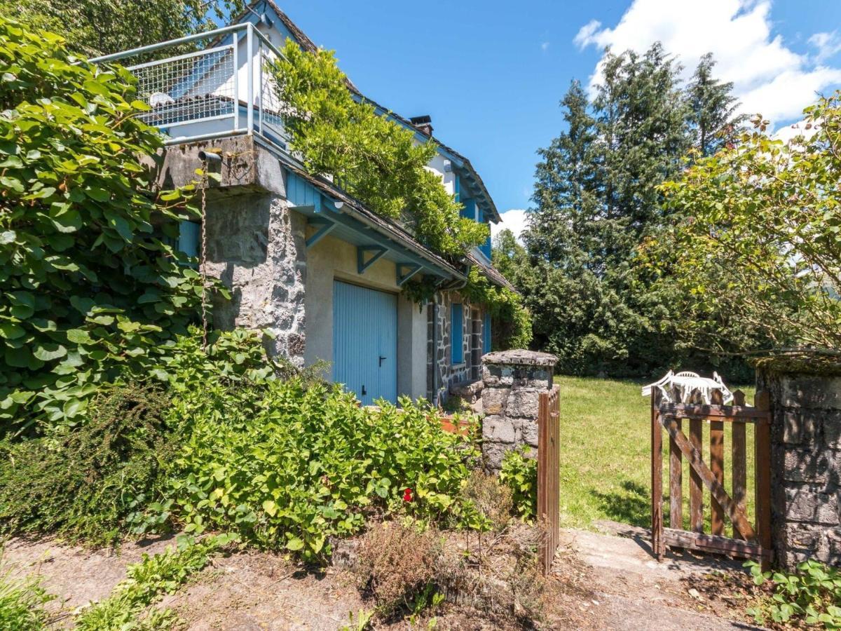 Beautiful Villa In The Parc Des Volcans D Auvergne Vic-sur-Cère 외부 사진