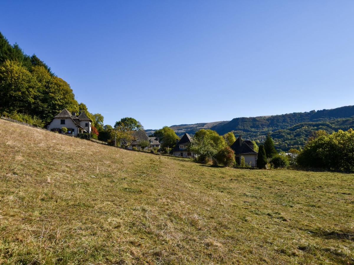 Beautiful Villa In The Parc Des Volcans D Auvergne Vic-sur-Cère 외부 사진
