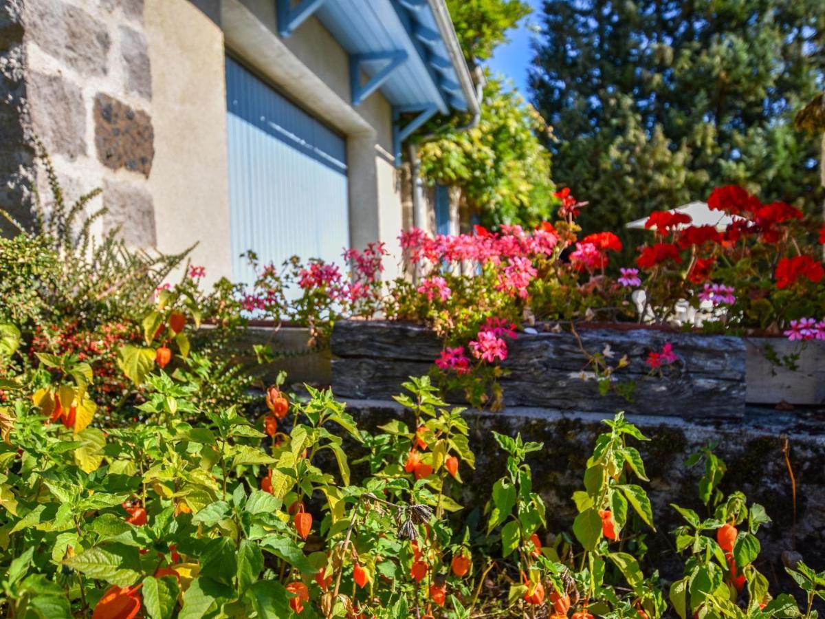 Beautiful Villa In The Parc Des Volcans D Auvergne Vic-sur-Cère 외부 사진