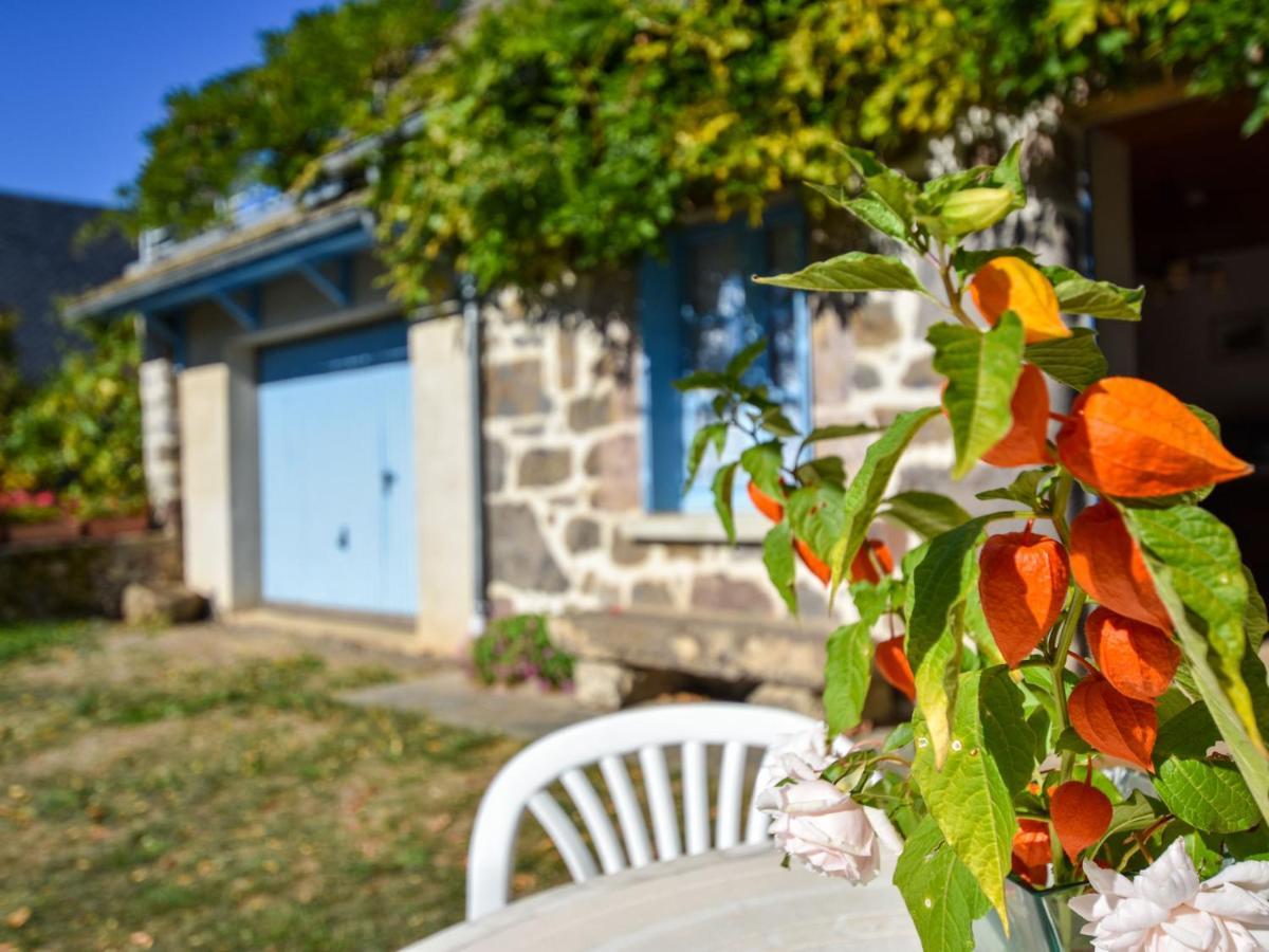 Beautiful Villa In The Parc Des Volcans D Auvergne Vic-sur-Cère 외부 사진